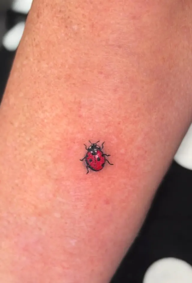Tiny red ladybug